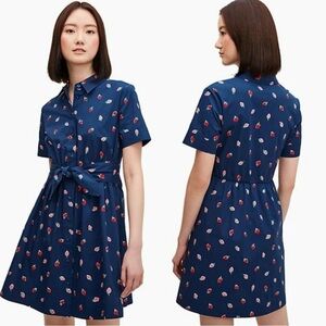 Kate Spade Strawberry Dress Size Large